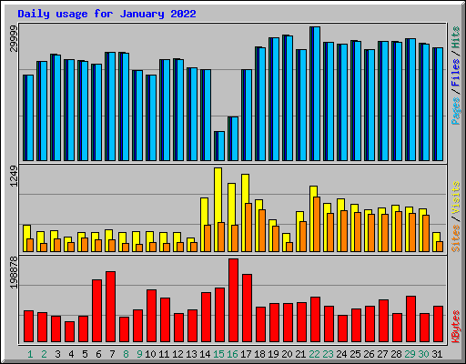 Daily usage for January 2022