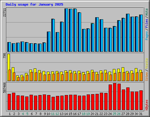 Daily usage for January 2025