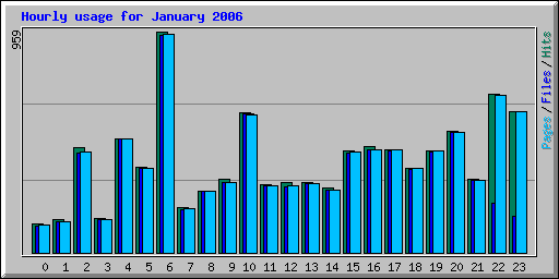Hourly usage for January 2006