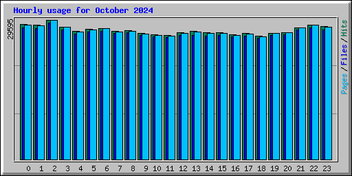 Hourly usage for October 2024