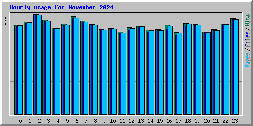 Hourly usage for November 2024