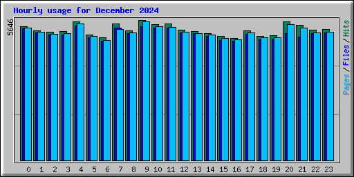 Hourly usage for December 2024