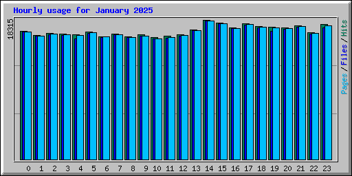 Hourly usage for January 2025