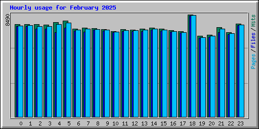 Hourly usage for February 2025
