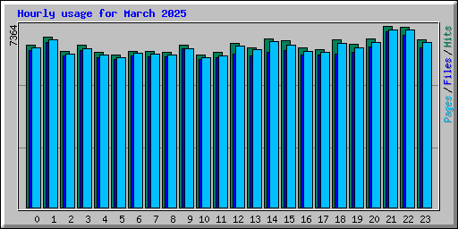 Hourly usage for March 2025