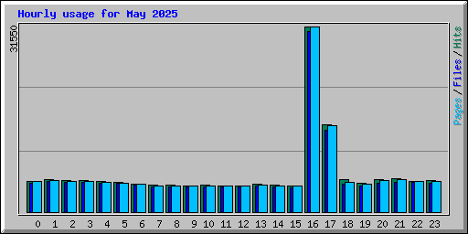 Hourly usage for May 2025