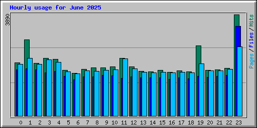 Hourly usage for June 2025